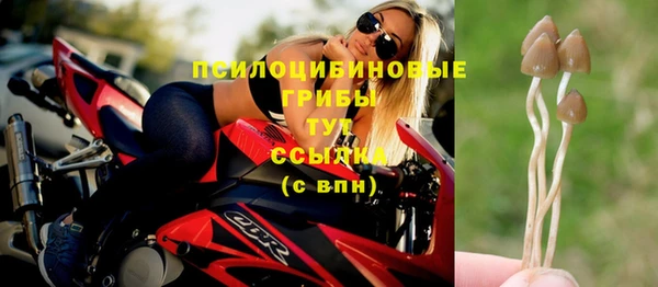 MDMA Богородицк